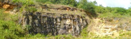 O Membro Maruim corresponde a uma rampa carbonática instalada numa área de menor aporte sedimentar da bacia, constituída por calcarenitos oolíticos e oncolíticos dolomitizados (estas camadas