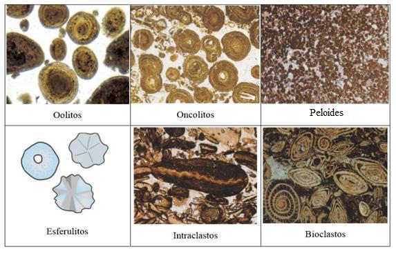 bacia de sedimentação), encontram-se oncolitos, esferulitos, peloides, intraclastos e