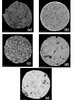 Figura 33: Imagens microtomográficas da Formação Riachuelo (Bacia Sergipe-Alagoas). (a) SA1 (Resolução: 2.78 m/ Energia: 45KV); (b) SA2 (Resolução: 2.