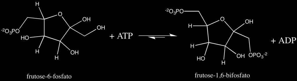 Figura 17. Reação de fosforilação da frutose-6-fosfato catalisada pela enzima fosfofrutoquinase 1 (PFK1) com o consumo de uma molécula de. A variação de energia livre envolvida é ΔG 0 = -14.2 kj.