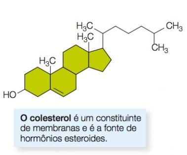 Lipídeos Os esteroides são ácidos graxos modificados e desempenham papeis regulatórios como