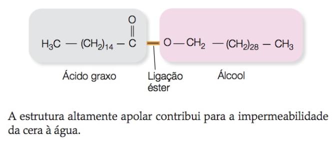 Lipídeos Ceras na superficie da pele, pelo e