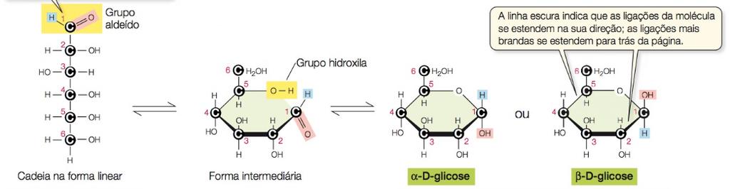 Carboidratos Todas as moleculas de glicose