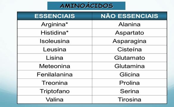 Proteínas Um aminoácido essencial é aquele que o organismo não é capaz de sintetizar, mas é necessário para o seu funcionamento.