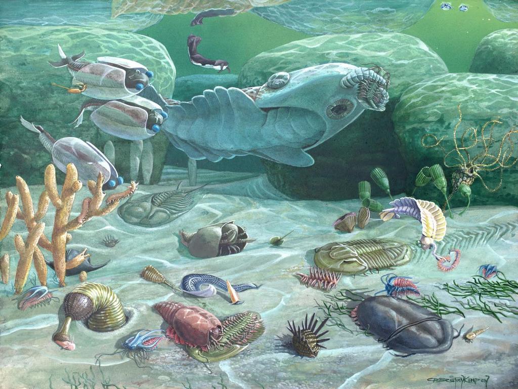 Explosão do cambriano Vários animais estranhos surgiram no cambriano. Parece que a vida testou todas as possibilidades. Causas? Só hipóteses.