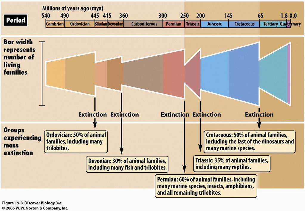 Principais extinções em massa Aconteceram 5