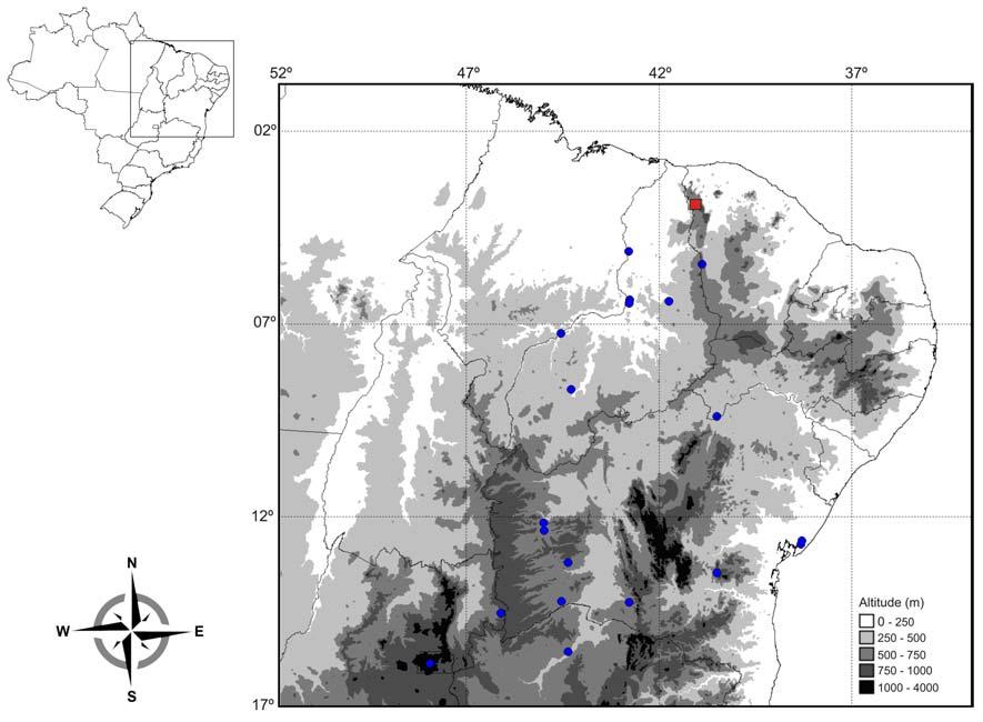 Figure 2 Altitudinal distribution map of Bothrops lutzi indicating the previous knowledge localities (blue circles) adapted from Silva and Rodrigues (2008) and the present record (red square).