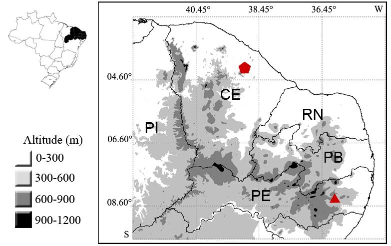 Figure 2 Altitudinal map showing the recognized records of Adelopryne baturitensis (red pentagon) in the state of Ceará (Maciço de Baturité, type locality) and the new record in the state of