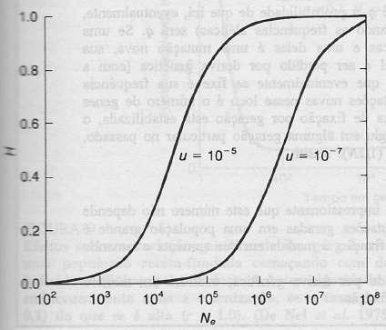O nível de variação genética é medido pela proporção média de heterozigotos em um loco e será então H (4Neu)/ (4Neu + 1)