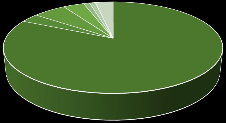 11 2; 2% 2; 2% 4; 4% GRU EMITIDA 87; 92% DT EMITIDA 5; 2% 14; 4% 5; 2% 75; 24%