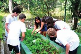 Além de vivenciarem o dia a dia do processo de plantio de sementes orgânicas, desde 2017 os alunos germinam suas próprias mudas.