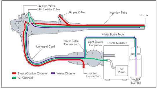 Canal sucção/biópsia Canal de ar Canal de água Conexão de sucção Bomba de ar Garrafa de água Fonte: Olympus Keymed UK Ltd. In: BSG, 2014, traduzido.
