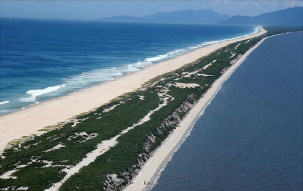 Cordão Arenoso Cordões arenosos são faixas de elevações de areia.