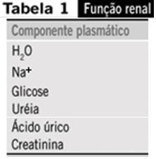 Os rins são responsáveis, resumidamente, por quatro funções no organismo: Eliminação de toxinas do sangue por um sistema de filtração; Regulação da formação do sangue e dos ossos; Regulação da