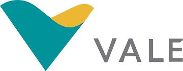 VALE ON VALE3 Fundamentos da Empresa: A Vale é uma das maiores mineradoras do mundo e tem um dos maiores valores de mercado entre as companhias brasileiras.