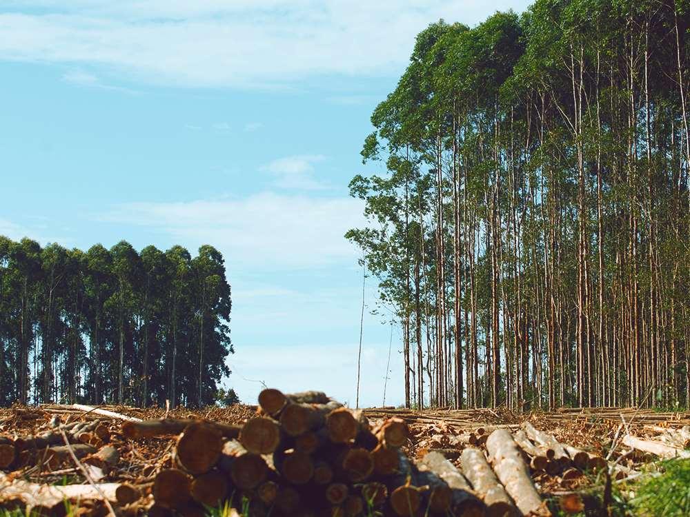 Crescimento de Demanda estimado até 2030 (% a.