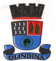 Quinta-feira 2 - Ano - Nº 2475 Olindina Decretos ESTADO DA BAHIA PREFEITURA MUNICIPAL DE OLINDINA GABINETE DO PREFEITO DECRETO Nº481 DE 06 DE JUNHO DE 2018 Declara Situação de Emergência nas Áreas do