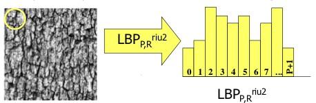 LBP Local Binary Patterns Como calcular os descritores de textura finais?