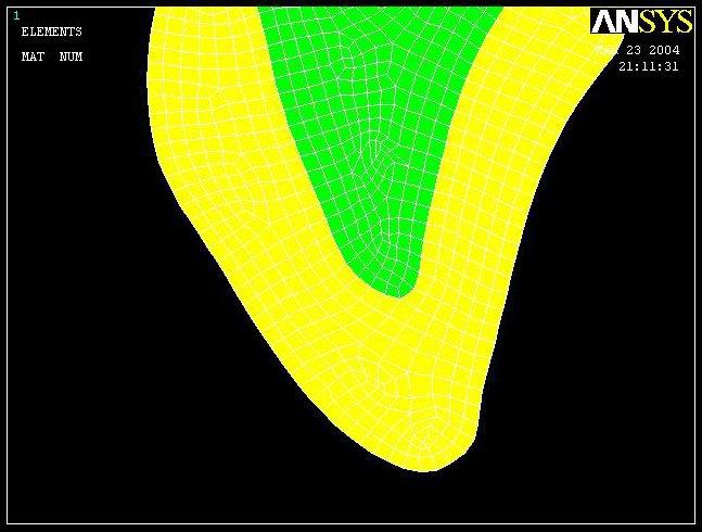 (A) terço apical do dente, (B) terço