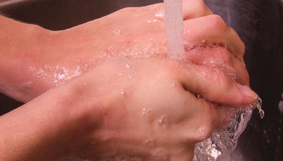 142 O gel de banho Greendet Profissional é um produto antibacteriano com elevada concentração de agentes de limpeza, elevada capacidade de hidratação da pele e capaz de eliminar os microrganismos