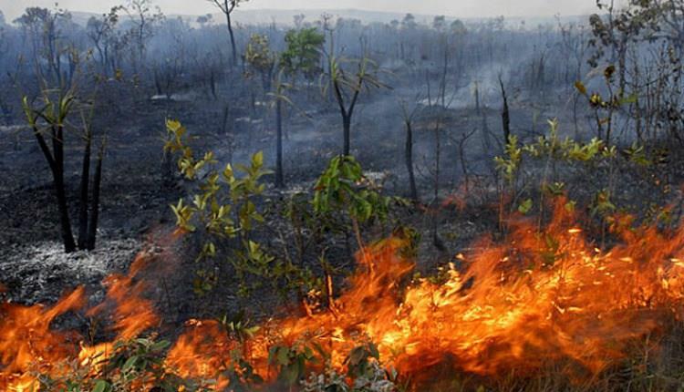 Queimadas Prática antiga usada para limpar terrenos e iniciar plantios.