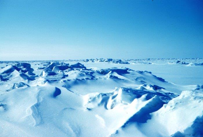 A Antártica é o maior deserto do