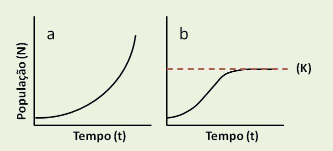 Regressão Não Linear Em alguns casos o modelo linear pode não ser o mais adequado. Muitas aplicações biológicas são modeladas por meio de relações não lineares.