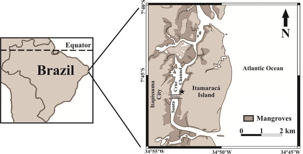 19 Figure 1 Map of Itamaracá Island and the Santa Cruz Channel, showing the intertidal mudflat where data were collected (black star). Sampling design As described by Valença et al.