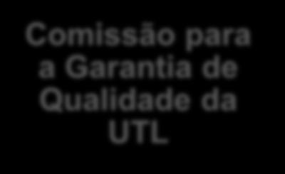 competências e métodos Promover a constituição de um SI com