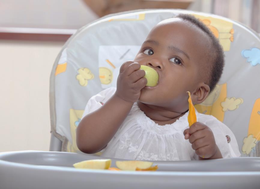 A partir do 6 mês: 1 semana: Oferecer as frutas in natura, preferencialmente sob a forma de papa ou amassadas ou raspadas (em colheradas) ou no método BLW (desmame conduzido pelo bebê).