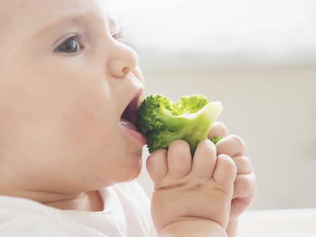 A partir do 6 mês: Papa principal: Os grupos de alimentos e o número de porções/dia para crianças de 6 a 11 meses: a refeição deve conter pelo menos um alimento de cada um dos seguintes grupos: