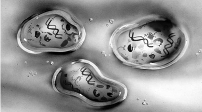 Etapas da origem da vida (1 célula) - amônia, formaldeído, cianeto, acetaldeído -