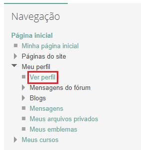 VERIFICAR O PERFIL Para verificar o seu perfil o usuário deve clicar em Meu Perfil, na tela principal do ambiente e, em seguida, e, Ver Perfil.