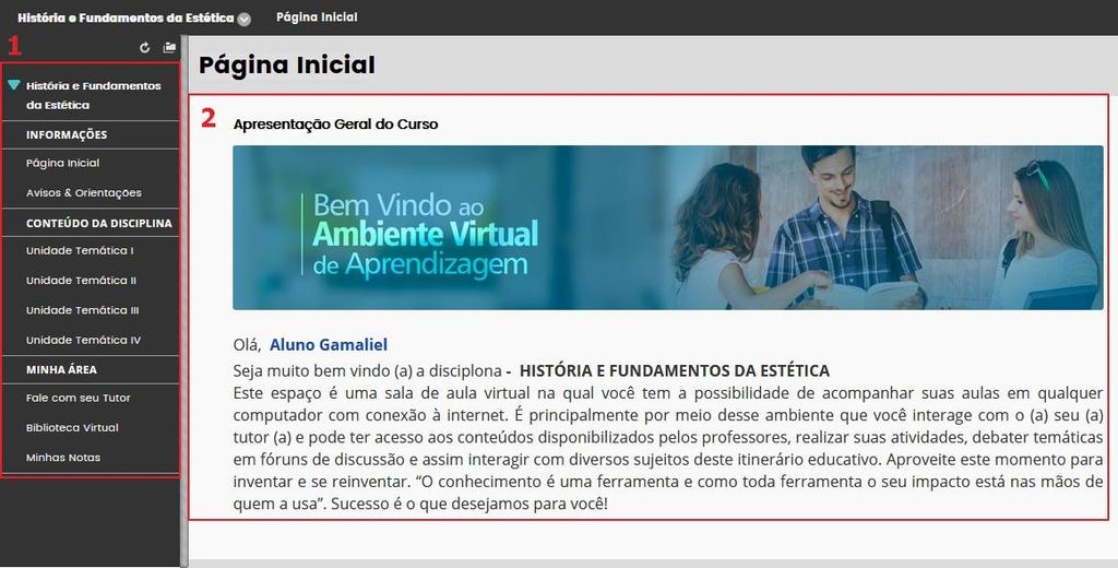 12 5. Acessando as Disciplinas Ao clicar na disciplina você será