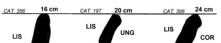 Fig. A8.6 - Pratos e Tigelas do tipo 1 (T.106): Vasilhas não restringidas pequenas e medianas com o diâmetro variando entre 16 e 24cm.