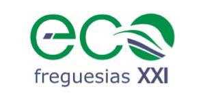 3.3.ECOXXI NA HOLANDA: difusão do ECOXXI no âmbito da FEE Durante o mês de Fevereiro de 2009, foi hasteada a 1ª bandeira ECOXXI fora de Portugal, em Schouwen Duiveland, uma comunidade da província de
