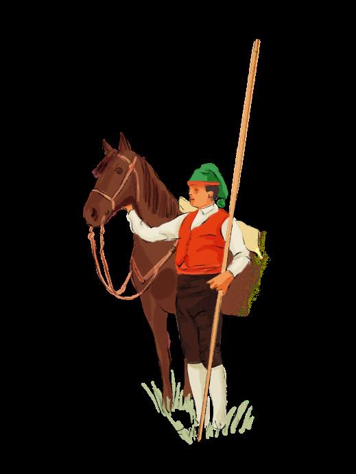 O fato tradicional do Campino é composto por um barrete verde com uma barra em vermelho, camisa branca, colete encarnado, uma faixa vermelha na cintura, calças azuis, meias brancas até ao joelho,