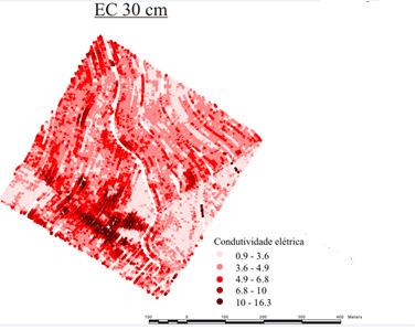 Figura 1 - Disposição espacial das áreas experimentais e mapa altimétrico.