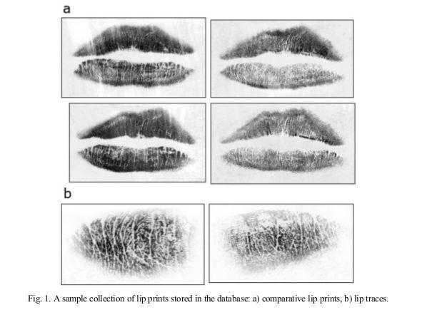 Recogniton based on lines pattern Motivação Auxiliar no processo de comparação de traços encontrados em cenas de crimes com impressões labiais obtidas dos suspeitos Testar as impressões pode demorar