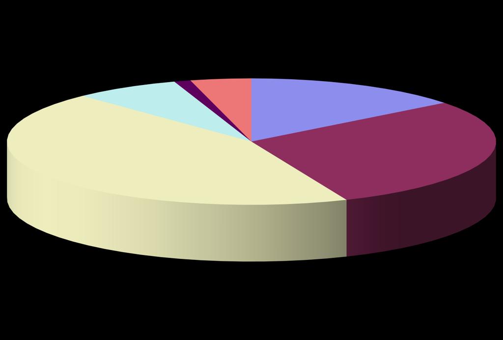 Distribução consumo energía ETAR Distribución consumo Energético 1% 7% 4% 15%