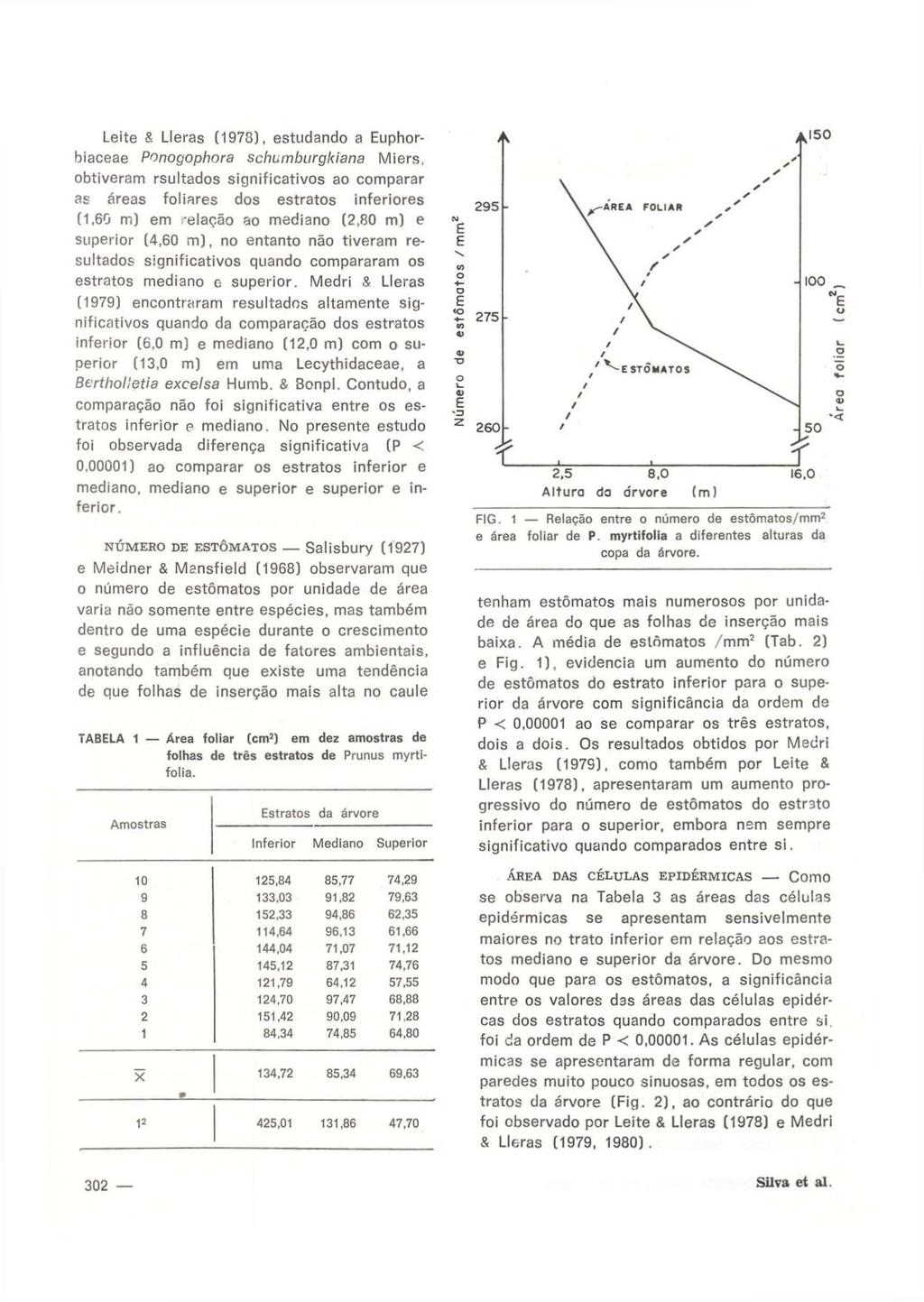 Leite S Lleras (1973), estudando a Euphorbiaceae Ponogophnra schumburgkiana Miers, obtiveram rsultados significativos ao comparar as áreas foliares dos estratos inferiores (1,60 m) em -elação ao
