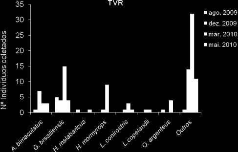 No TVR, o período de março de 2010 foi o que teve maior número de coletas com picos para G. brasiliensis e H. mormyrops.
