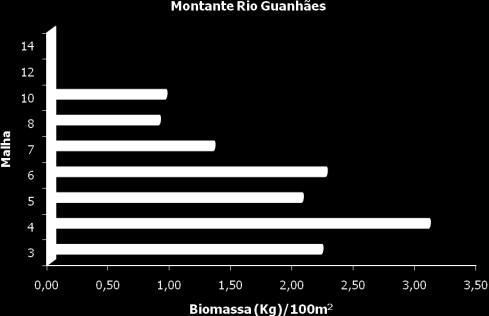 Captura por Unidade de Esforço (CPUE) em número e biomassa por malha para o trecho a montante da barragem de Guanhães da UHE Salto Grande, rios Santo Antônio e Guanhães,