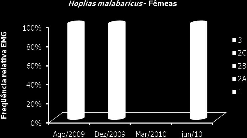Figura 64. Frequência de distribuição dos estádios de maturação gonadal dos machos de Hoplias malabaricus coletados na UHE Salto Grande, município de Braúnas, MG. Figura 65.