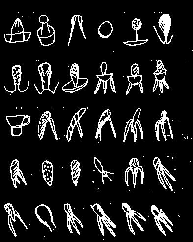 Taxonomia da fluência gráfica do desenhador Philippe Starck graficacia para o espremedor