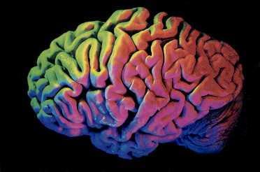 A ciência já descobriu que quando se tem um pensamento o cérebro produz substancias que abrem o que se poderia