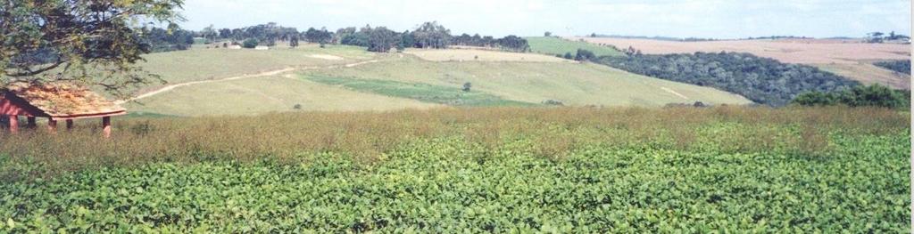 Padrão de ocorrência de plantas daninhas resistentes a herbicidas no campo Falha do herbicida devida a resistência: manchas com alta