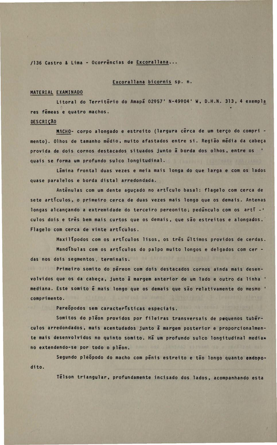 /136 Castro & lima- Ocorrências de Excorallana.. Excorallana bicornis sp. n. MATERIAL EXAMINADO Litoral do TerritÕrio do Amapã 02957' N-49904' W, res fêmeas e quatro machos. D.H.N. 313, 4 exempl!