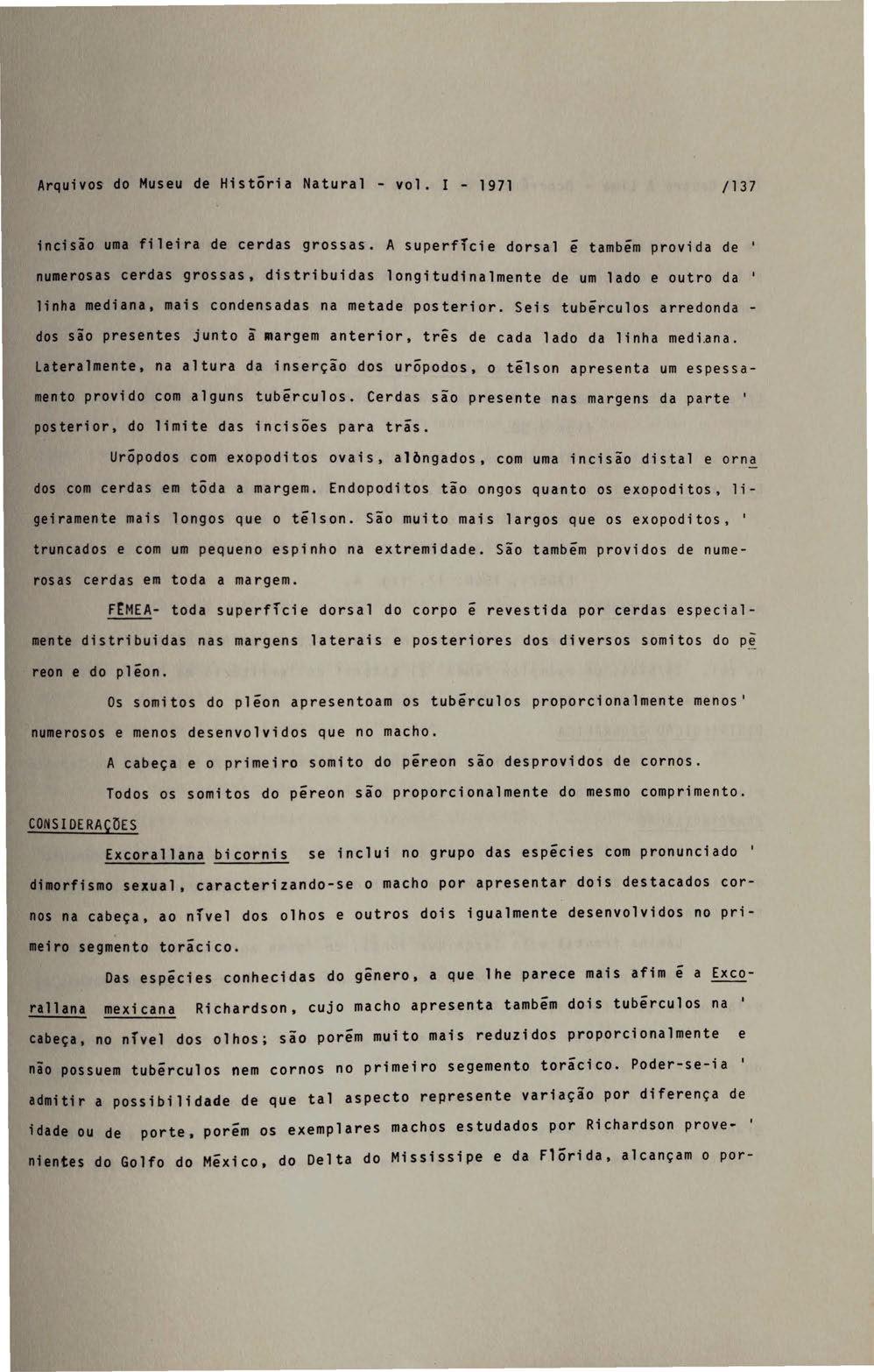 Arquivos do Museu de Histõria Natural - vol. I - 1971 /137 incisão uma fileira de cerdas grossas.