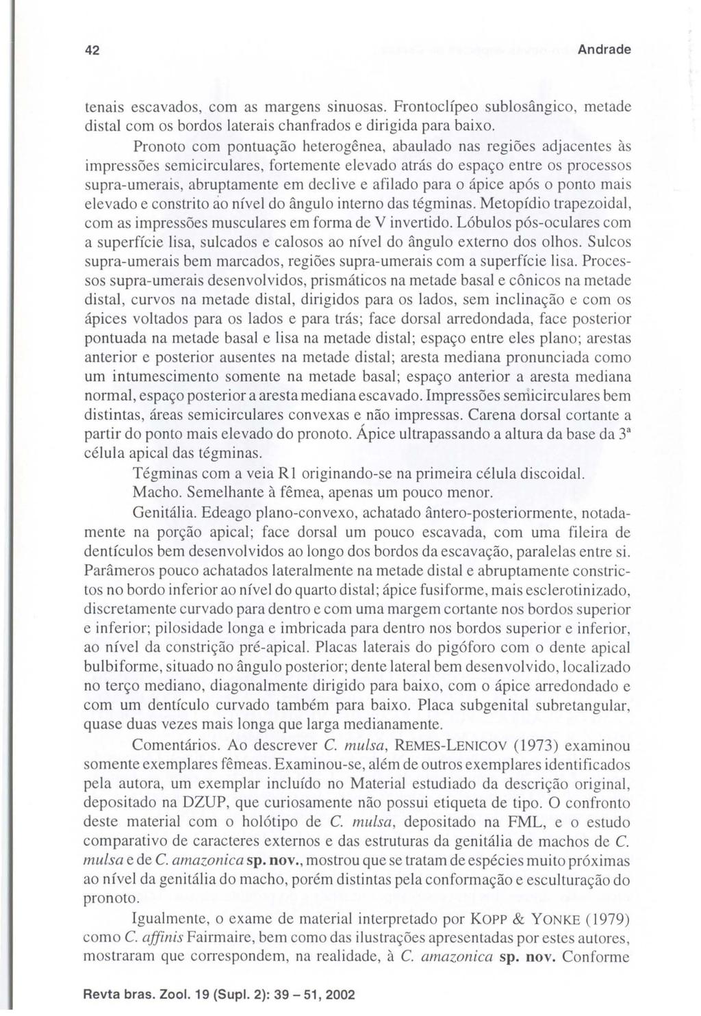 42 Andrade tenais escavados, com as margens sinuosas. Frontoclípeo sublosângico, metade distai com os bordos laterais chanfrados e dirigida para baixo.